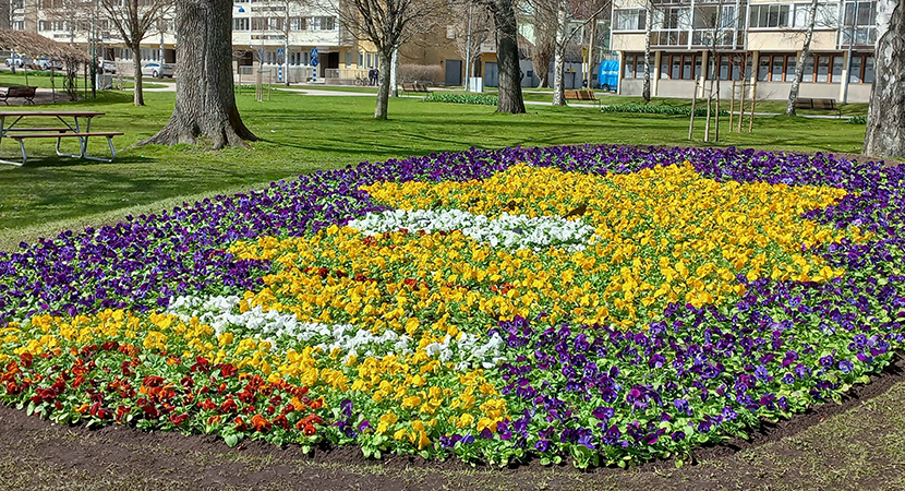 temarabatten i stadsparken med blommor i gult, vitt, blått